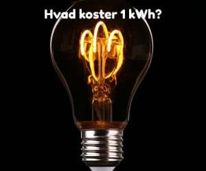 Hvad koster 1 kWh?